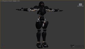 Assault robot
