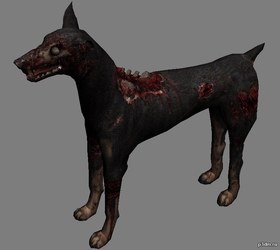 Cerberus