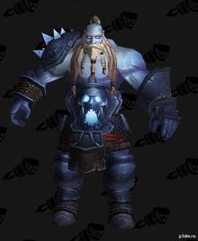 Hodir