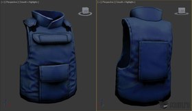 Vest