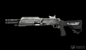 LP Shotgun