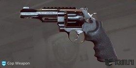 RS357